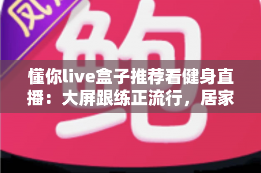 懂你live盒子推荐看健身直播：大屏跟练正流行，居家健身这样安排更高效