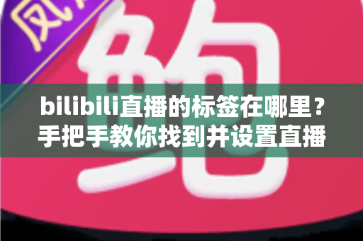 bilibili直播的标签在哪里？手把手教你找到并设置直播标签的完整指南