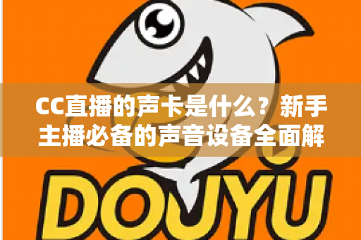 CC直播的声卡是什么?新手主播必备的声音设备全面解析与选购指南 CC直播的声卡是什么?新手主播必备的声音设备全面解析与选购指南