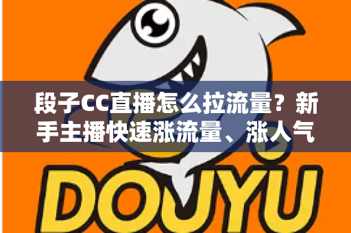 段子CC直播怎么拉流量?新手主播快速涨流量、涨人气的实战攻略全解析 段子CC直播怎么拉流量?新手主播快速涨流量、涨人气的实战攻略全解析