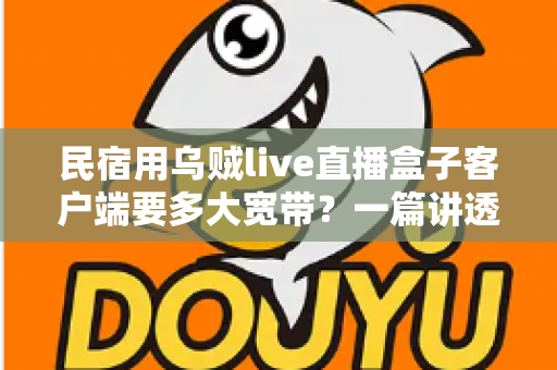 民宿用乌贼live直播盒子客户端要多大宽带?一篇讲透带宽选择与网络优化的实战指南 民宿用乌贼live直播盒子客户端要多大宽带?一篇讲透带宽选择与网络优化的实战指南