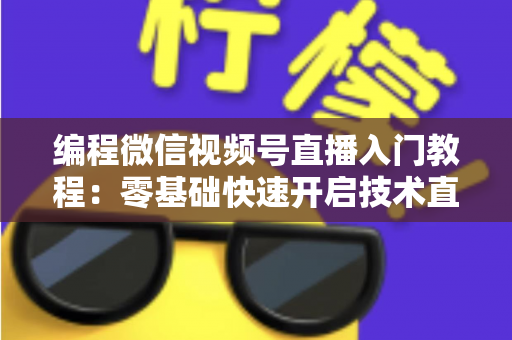 编程微信视频号直播入门教程：零基础快速开启技术直播之旅