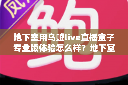 地下室用乌贼live直播盒子专业版体验怎么样？地下室场景深度评测与真实使用感受全面解析