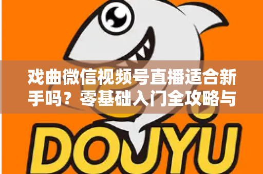戏曲微信视频号直播适合新手吗？零基础入门全攻略与发展前景深度解析