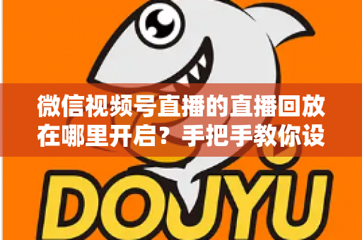 微信视频号直播的直播回放在哪里开启？手把手教你设置回放并高效管理直播内容