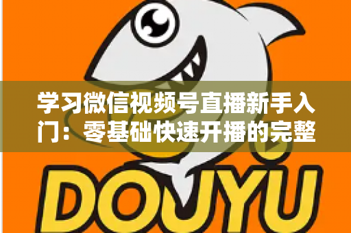 学习微信视频号直播新手入门：零基础快速开播的完整实战指南