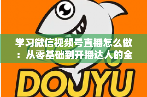 学习微信视频号直播怎么做：从零基础到开播达人的全流程实战指南