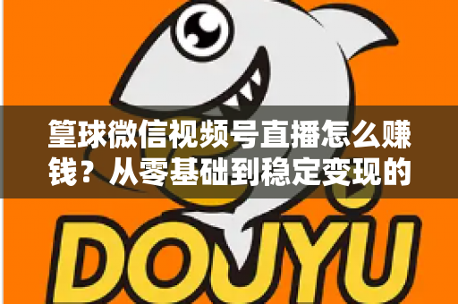 篁球微信视频号直播怎么赚钱？从零基础到稳定变现的完整实战指南